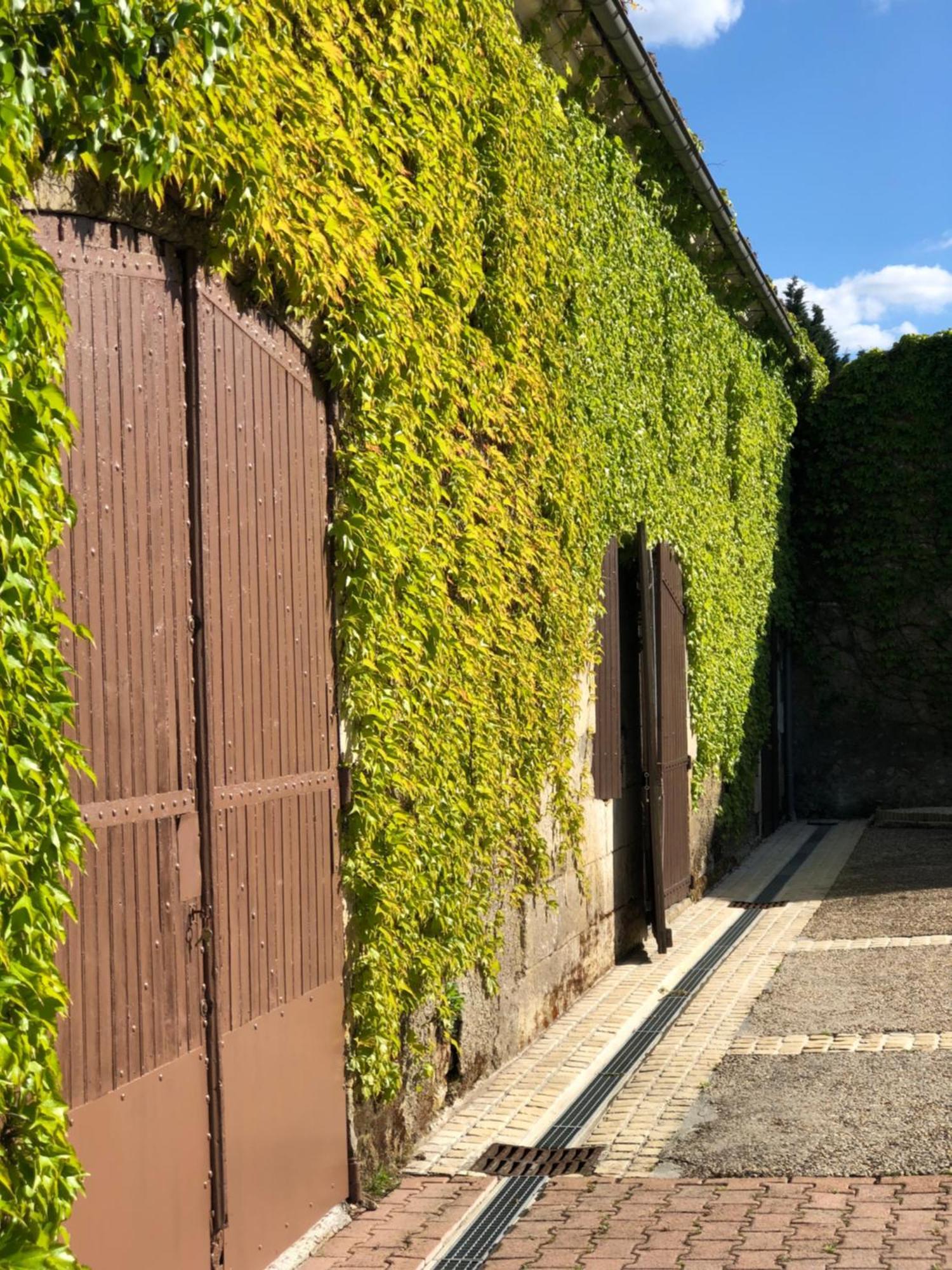 Le Domaine Du Haut Preau Saint-Palais-de-Negrignac Exterior foto